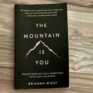 The mountain is you book